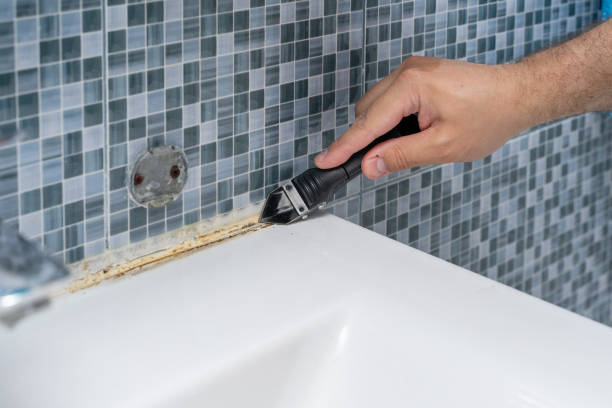 Best Industrial Mold Remediation in East Freehold, NJ